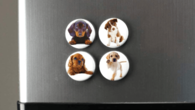 The Role of Pet Care Magnets in a Busy Household