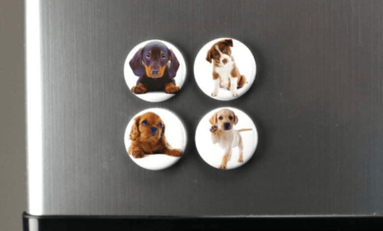 The Role of Pet Care Magnets in a Busy Household