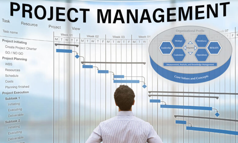 How Can Project Management Courses Enhance My Career?