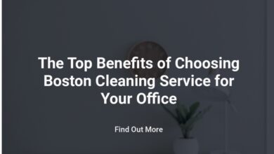 Boston Cleaning