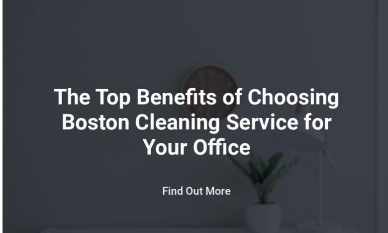 Boston Cleaning